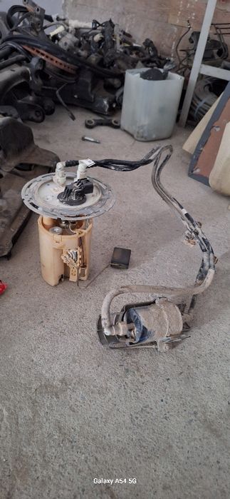 Jentra provotka polni