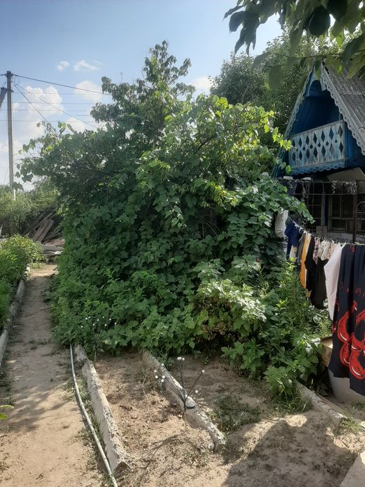 Срочно продам дачу