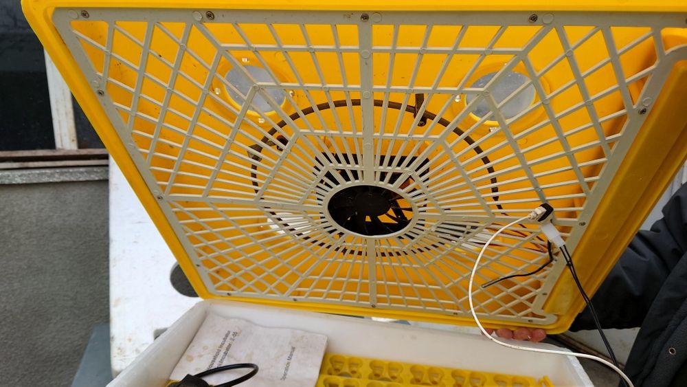 Инкубатор за 63 яйца(252 пъдпъдъчи)