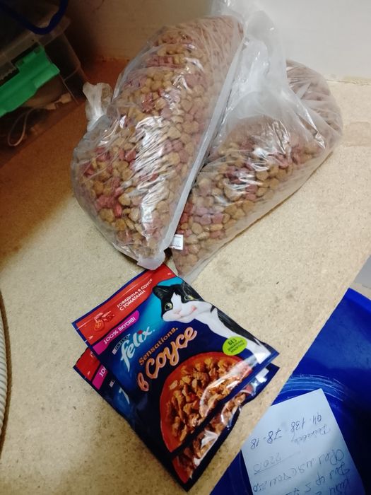 Mushuk zotdor sotiladi