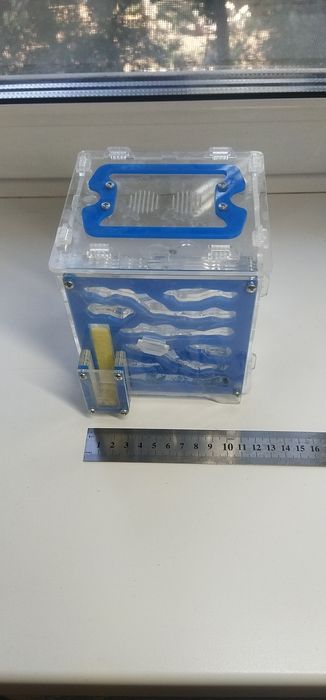 Муравьиная ферма (формикарий) 12,5×12,5×14 см