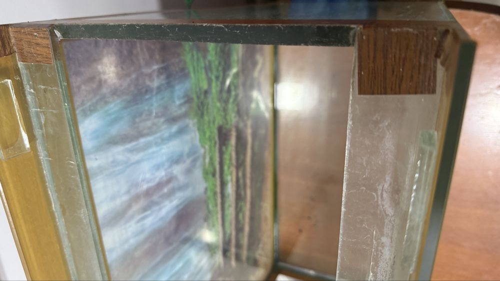 Аквариум бусамарканда