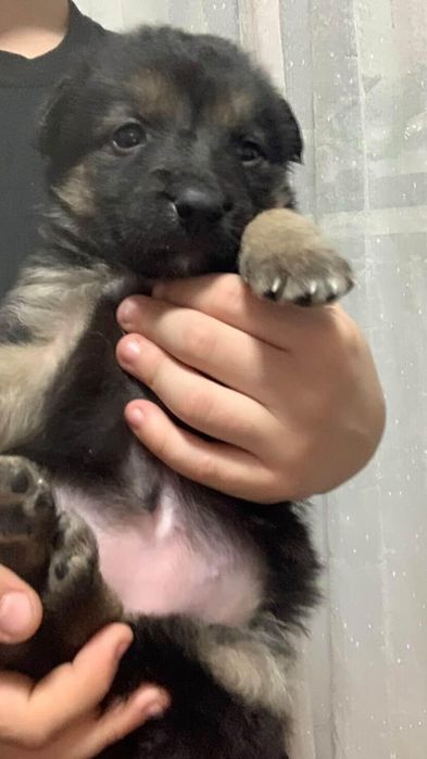 Спасённые малышки