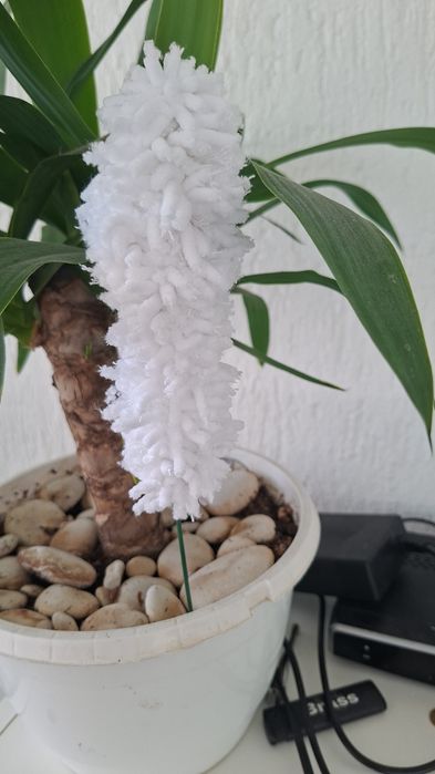 Zambila  lucrata manual disponibile toate culorile se poate parfuma cu parfumul dorit si mentine mirosul in incapere