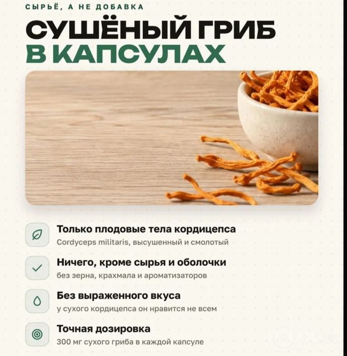Кордицепс военный в капсулах весь курс