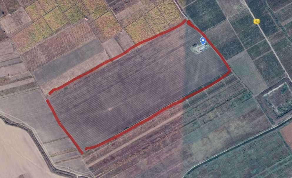 Vand Livada Nuci pe productie jud Buzau
