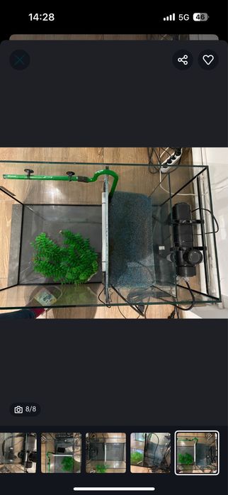 Acvarii pestisori pentru terapia Garra Ruffa