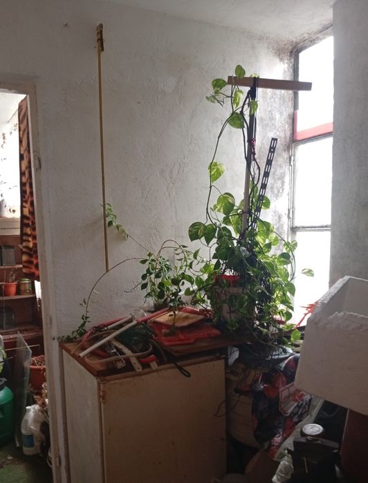 Vând apartament 3 camere zona Gojdu