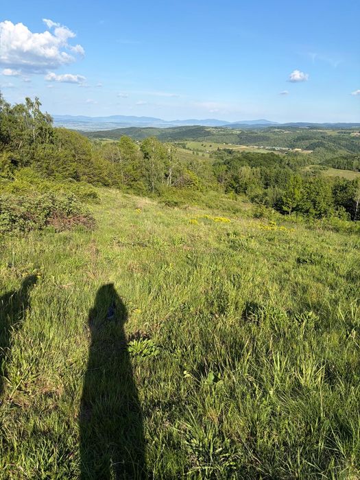 Vand teren intravilan in Sinteu, Bihor
