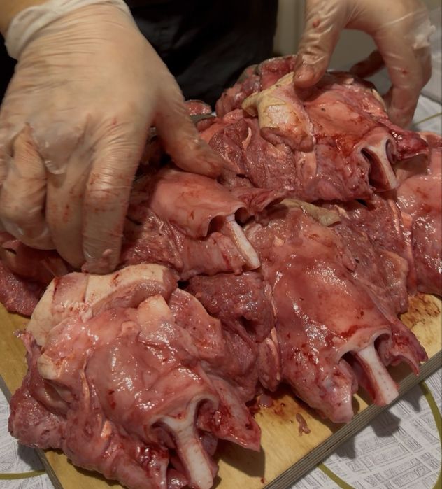 Стейк-нос для питомцев