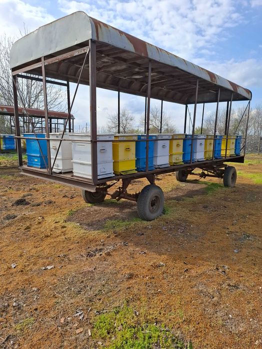 Продавам пчелни семейства