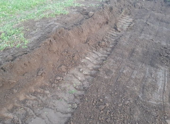 Навоз и чернозем