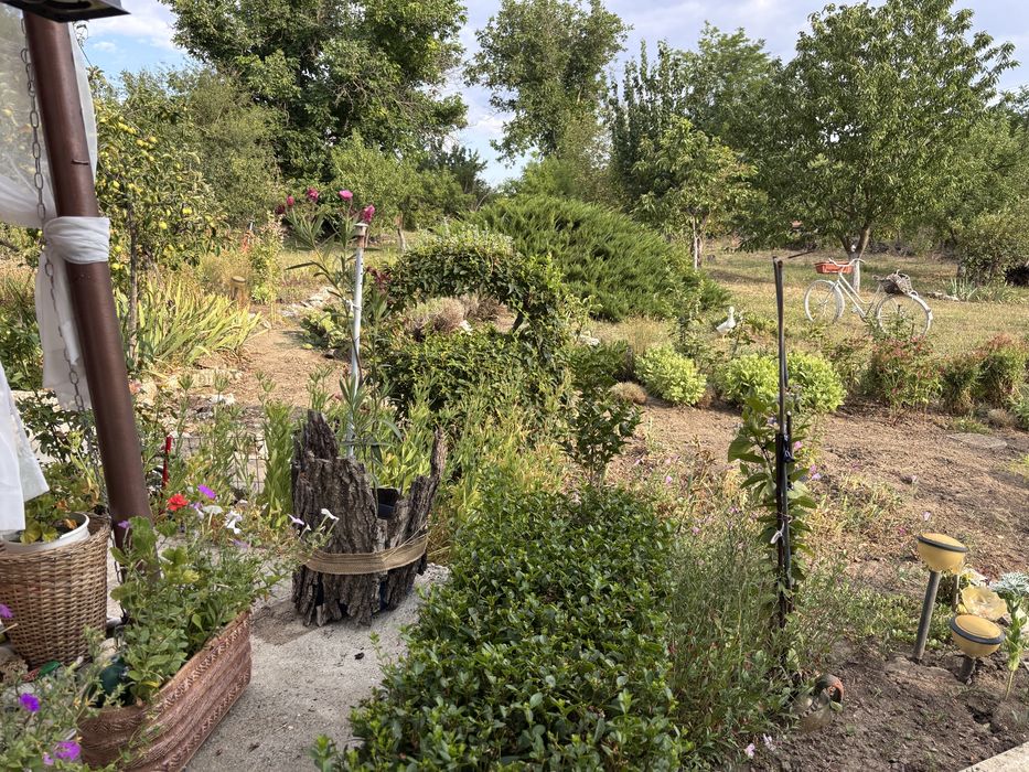 Продава се Къща в с. Йорданово, Област Силистра - 190 кв.м за 218 €/кв.м - Снимка #5