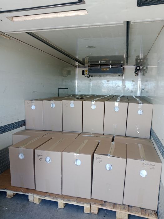 Тюльпан букеты гүлдер