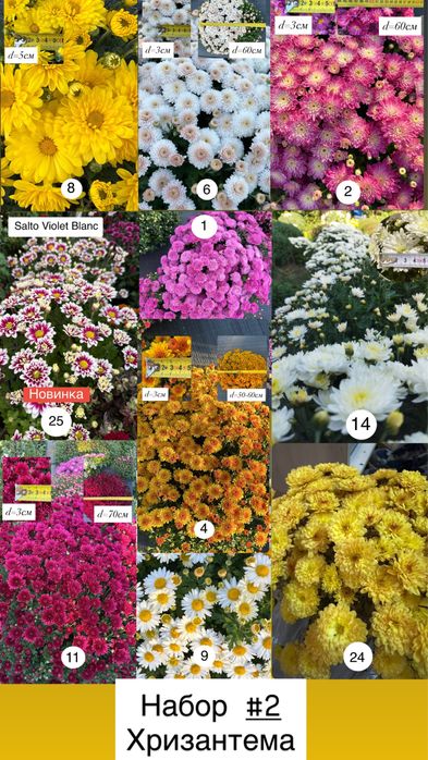 Питомник «Солнечный» растения для сада