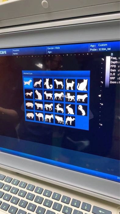 Узи аппарат для животных  Узи аппарат мол кой учун