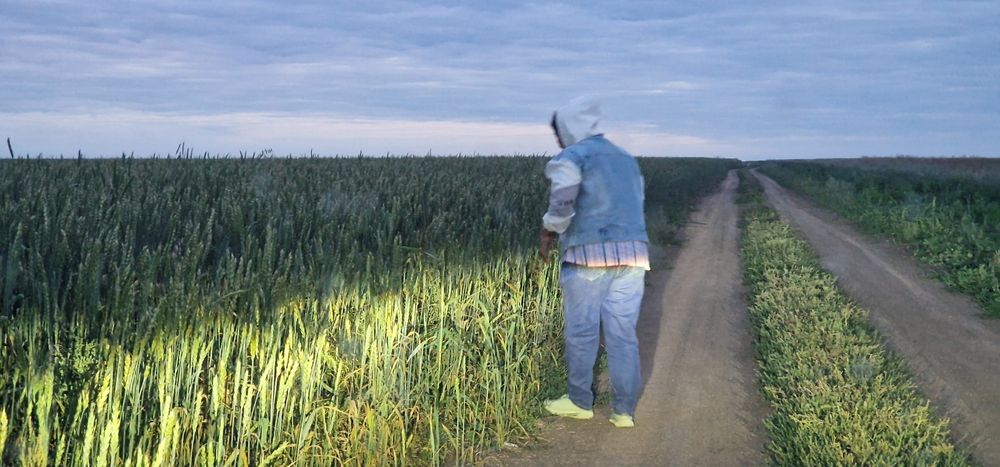 Продается земля (пашня)