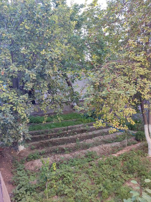 Hovli joy Zudlik bilan sotiladi pulini kelishamiz 600 kv/m2.