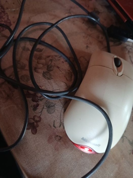 Компьютерная мышь