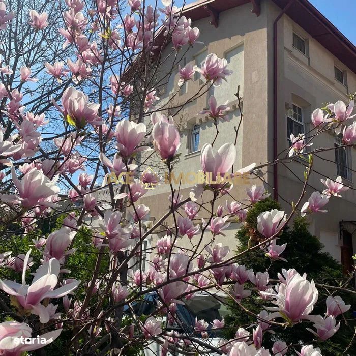 Vila de inchiriat | Unirii | Parcare | 340 mp utili - 1000 mp teren