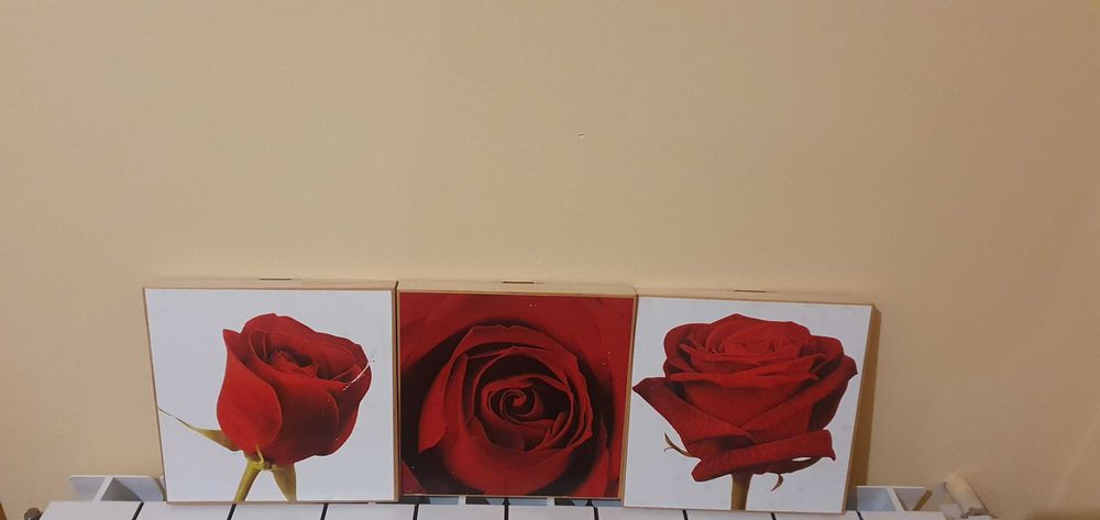 Цветен триптих с дървени рамки