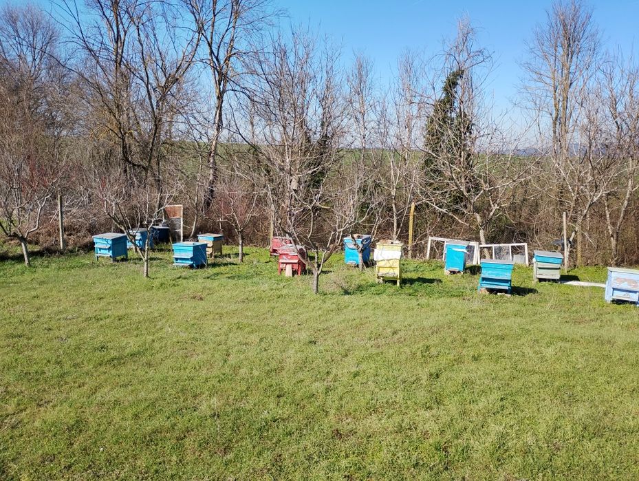 Празни пчелни кошери