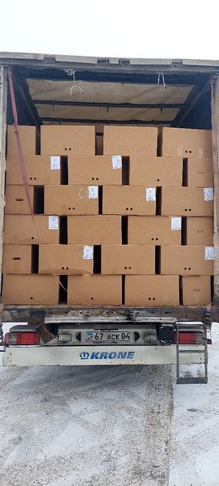 Яйцо всех категорий