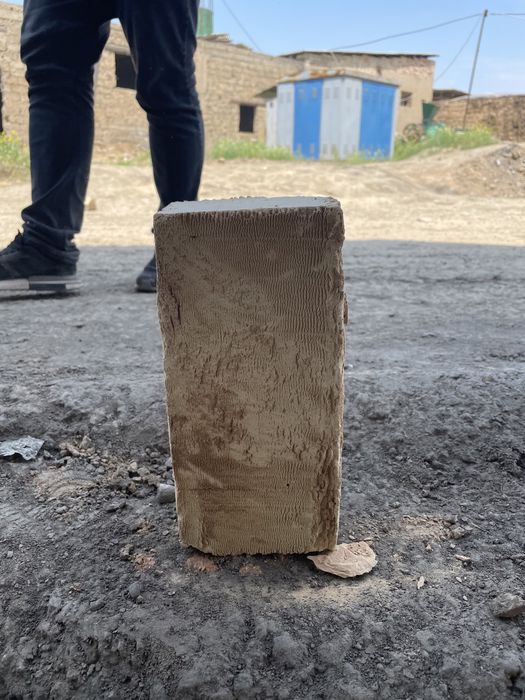 Пишган  гишт