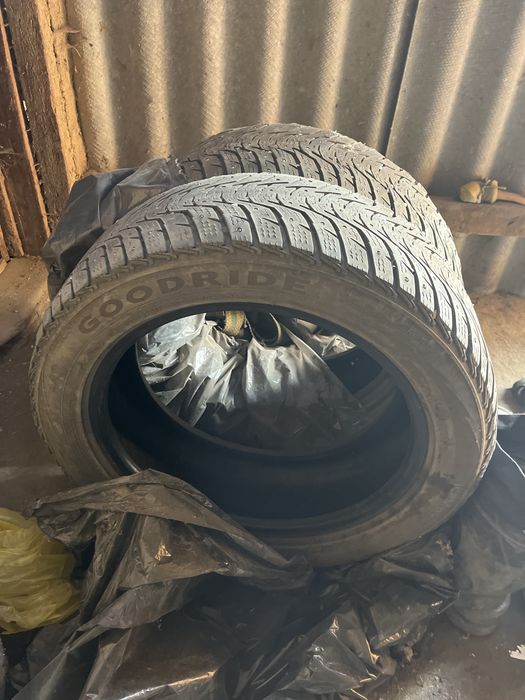 Продам шины зимние шипованные