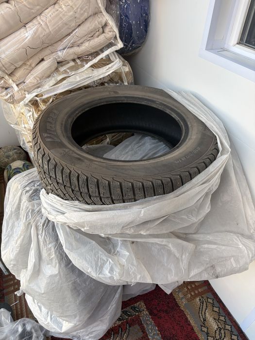 Продам шипы авто шина
