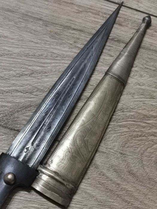 Кавказка кама с кания