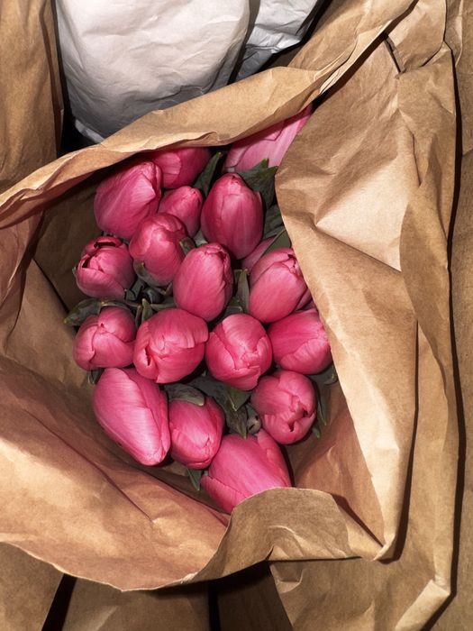 Тюльпаны Средний и крупный Опт