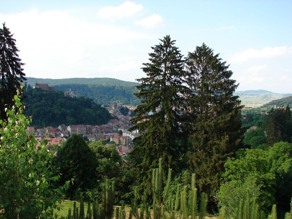 Proprietate unică in Sighișoara  33000mp + casa  de 280mp