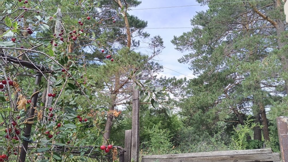 Продам дачу 16соток, город Алга 22 коллектив