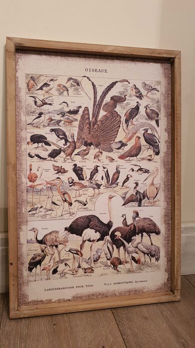 Фауна– Старинен ефект, дървена рамка, 60см/ 40см