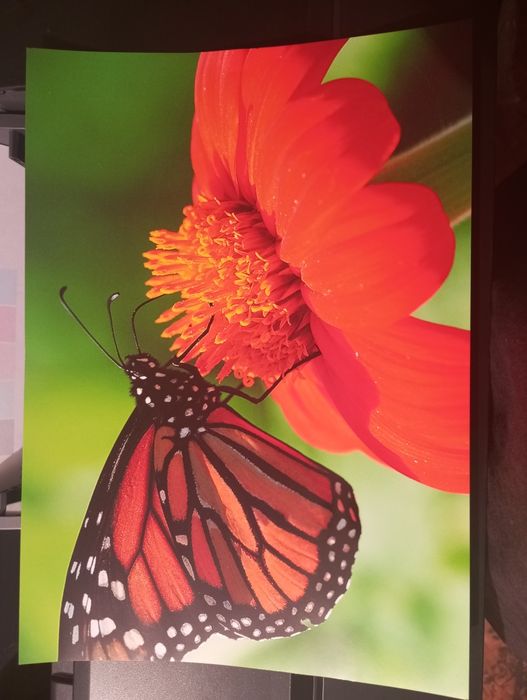 Epson l1800 струйный принтер А3