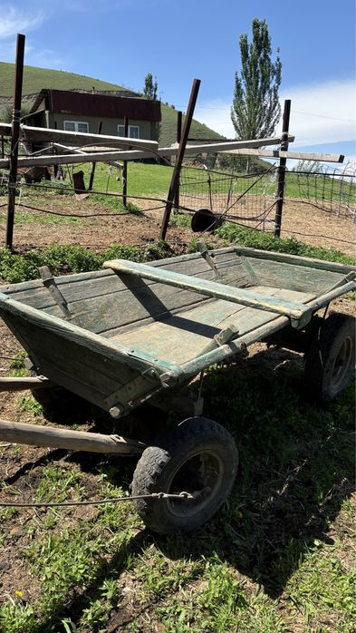 Продам бричку в комплекте,ат арба сатылады