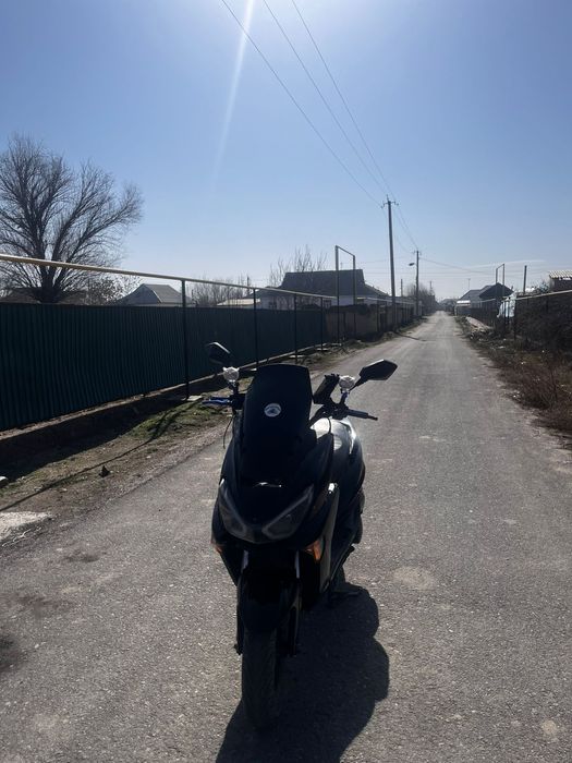 Maksi li Ya бір жыл гарантия