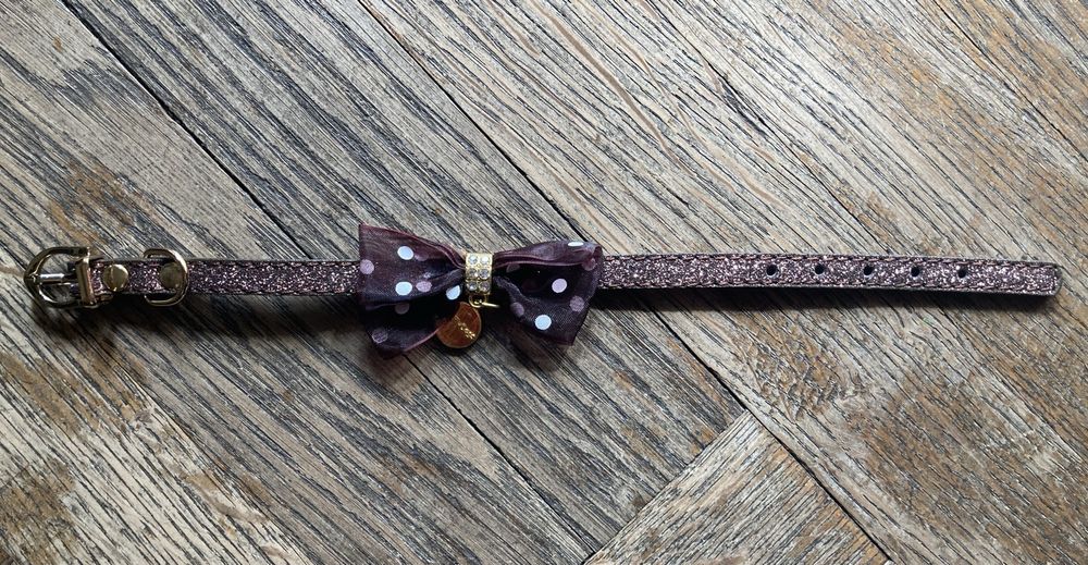 Zgarda Strălucitoare cu Funda pentru Catei reglare 17-27 cm (NOUA)