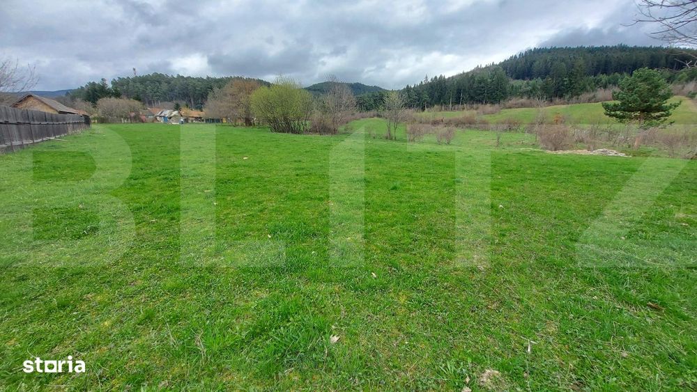 Teren intravilan 4.655 mp in Covasna – zona linistita, vedere la pad