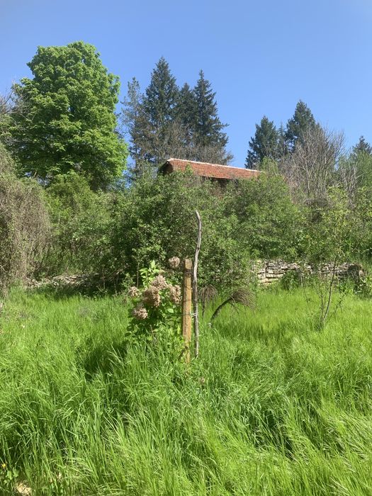 Къща в село Беглеж, обл. Плевен