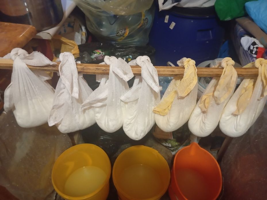 Lactatele  Comuna Doba