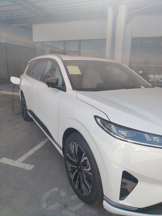 Dongfeng 008 gibrid