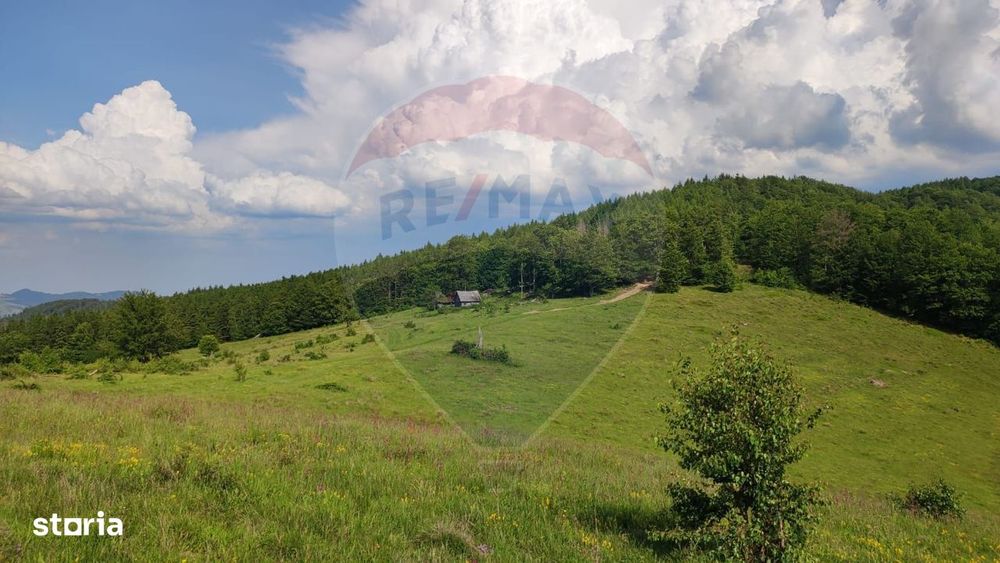 Teren 130000 mp extravilan, faneata si padure, Munteni - Bulz, Negreni