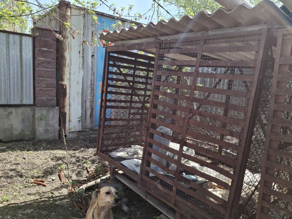 Металлические клетки