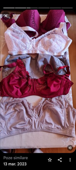 Sutiene marca Triumf