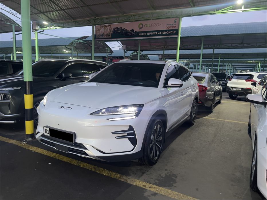 Champion Restayling 2024/2025 FULL 605 Chempion BYD