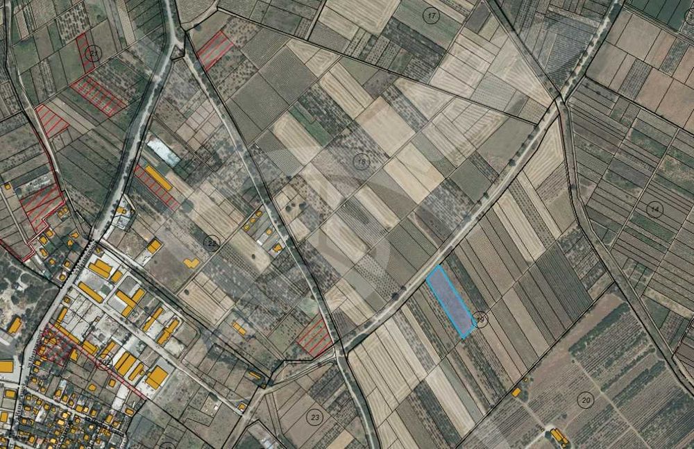 Земеделска земя в с. Брестник 100734