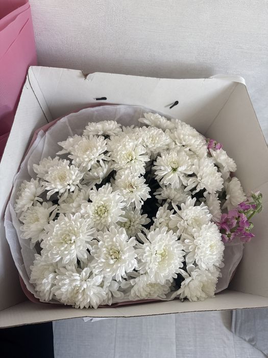 Цветы срочная продажа