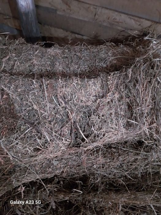 Vand baloti de lucerna